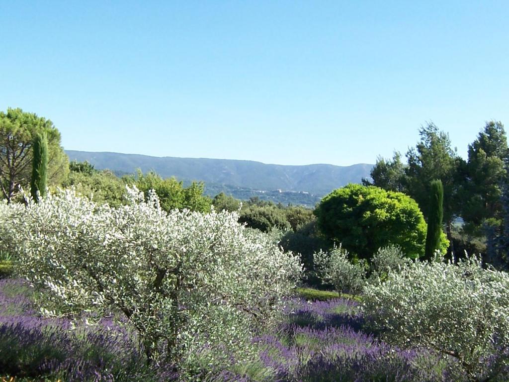 Lou Granos Bed & Breakfast Gordes Rom bilde
